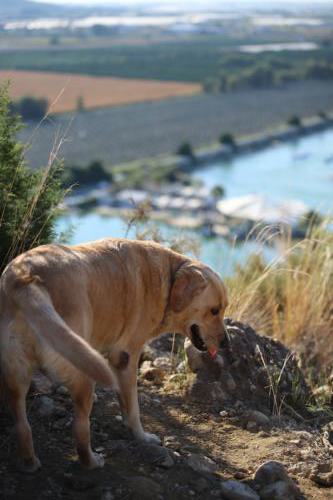 FACESOFWAKEBOARDING HipNotics 268