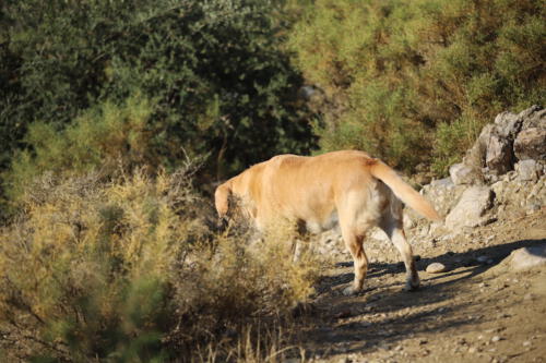 FACESOFWAKEBOARDING HipNotics 269