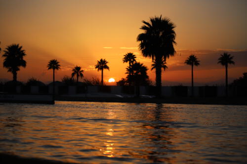 FACESOFWAKEBOARDING HipNotics 37