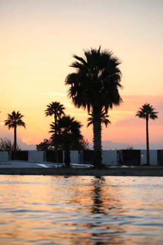 FACESOFWAKEBOARDING HipNotics 40