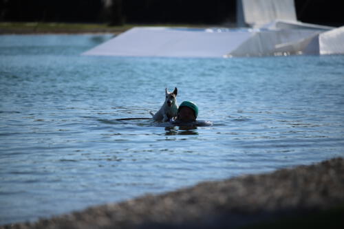 FACESOFWAKEBOARDING HipNotics 439