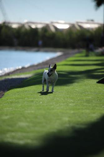 FACESOFWAKEBOARDING HipNotics 451