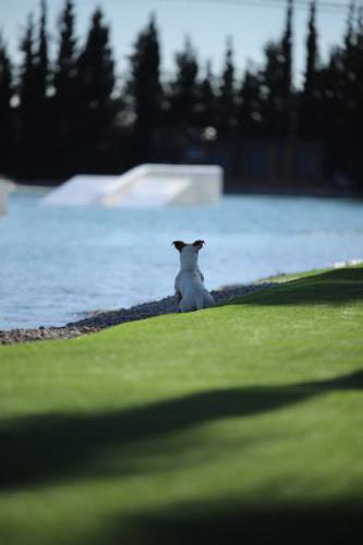 FACESOFWAKEBOARDING HipNotics 463