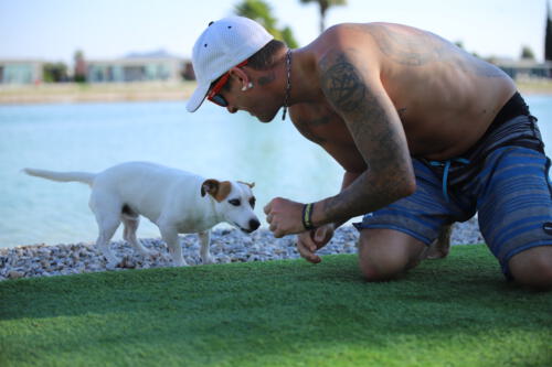 FACESOFWAKEBOARDING HipNotics 464