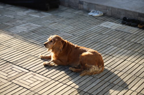 FACESOFWAKEBOARDING HipNotics 5