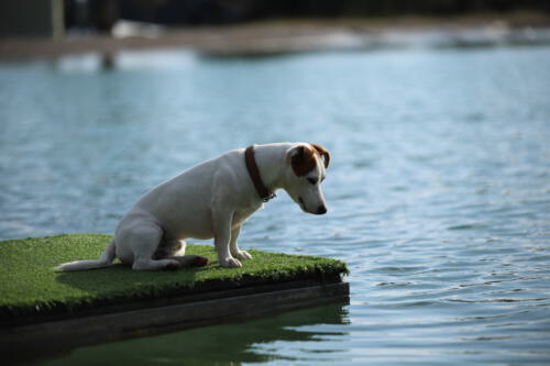 FACESOFWAKEBOARDING HipNotics 53