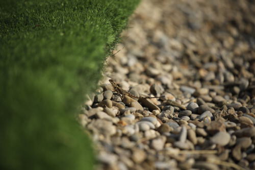 FACESOFWAKEBOARDING HipNotics 62